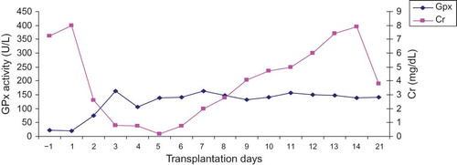 Figure 6. The relationship between pGPx activity and Cr levels in kidney recipient with troublesome post-operative outcome (i.e., acute rejection). Sample collection was commenced at day 1 pre-transplantation and terminated at day 21 post-transplantation.