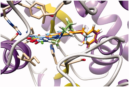 Figure 4. Docking superposition in the hTP active site of compounds 2d (in blue), 2e (in pink), 2i (in orange), and TPI (in green).