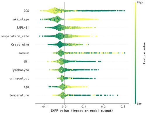 Figure 3. SHAP summary plot of the 11 clinical features of the RF model for prediction of short-term mortality in patients with SA-AKI. GCS: Glasgow Coma Scale score; aki_stage: AKI stage; SAPS-II: Simplified Acute Physiology Score; lymphocyte, absolute lymphocyte count; BMI: body mass index.