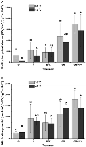 Figure 5 Soil nitrification potential incubated under neutral pH (A) and natural pH (B) after long-term (24-year) treatments with mineral fertilizer and/or organic manure in an acidic red soil. Values (means ± standard error, SE, n = 3) followed by the same letter at 30°C (a, b, c) or 40°C (A, B, C) above the bars are not significantly different, determined using least significant difference (LSD) test (p < 0.05). CK, N, NPK, OM and OM+NPK are the control; mineral nitrogen (N) fertilizer; mineral N, phosphorus (P) and potassium (K) fertilizer; organic manure; and organic manure plus mineral NPK fertilizer treatments, respectively. Abbreviations: NO2–, nitrite; NO3–, nitrate.