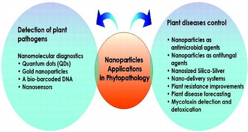 Figure 5. Potential NTapplications in plant pathology.