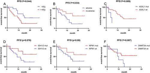 Figure 6. Progression-free survival of patients with AML according to clinical characteristics and gene mutation status (A) PFS stratified by age (age < 65y vs age > = 65y) (B) PFS according to the occurrence of adverse events (non-adverse events vs adverse events) (C) PFS stratified by ASXL1 mut status (ASXL1 mut vs wt) (D) PFS stratified by IDH1/2 mut status (IDH1/2 mut vs wt) (E) OS stratified by NPM1 mut status (NPM1 mut vs wt) (F) PFS stratified by DNMT3A mut status (DNMT3A mut vs wt).