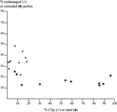 Figure 8 Graph comparing percentage corroded pollen with percentage sand and percentage undamaged pollen with percentage clay. The ten samples used for Figure 7 provided the data for the plots illustrated here.
