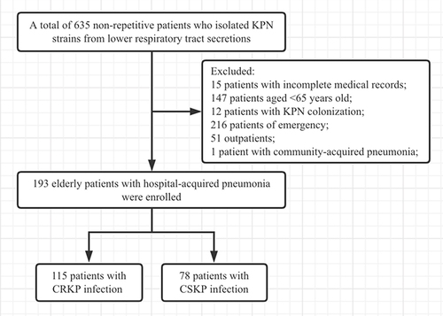 Figure 1 Flowchart outlining of the patients included in this study.