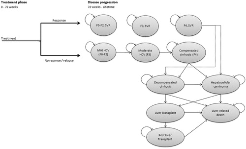 Figure 1. Model structure.