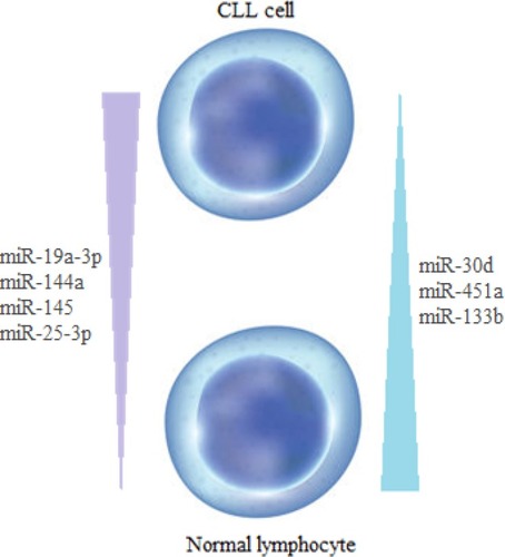 Figure 1 Differentially expressed miRNAs in CLL cells and normal cells.