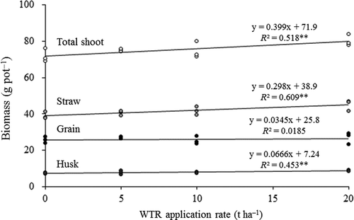 Figure 1. Simple linear regressions for rice grain, husk, straw and total shoot biomass against water-treatment residue (WTR) application rate.