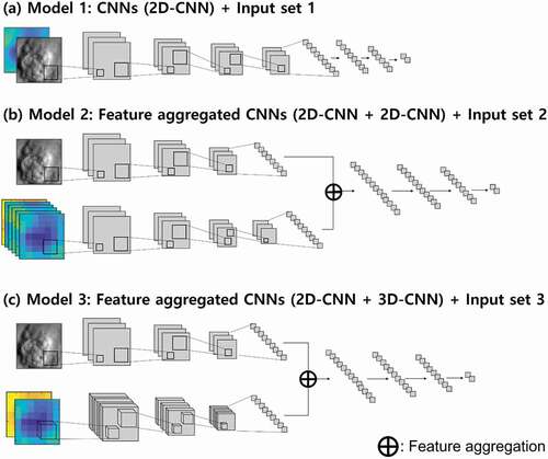 Figure 5. Three types of deep learning architectures used in this study. (a) model 1: The 2D-CNN architecture using input set 1, (b) model 2: The feature-aggregated deep learning model consisting of two 2D-CNN models using input set 2, and (c) model 3: The feature-aggregated deep learning model consisting of 2D-CNN and 3D-CNN in parallel using input set 3.
