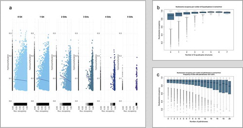 Figure 2. (a) Hydroxymethylation levels and their linear regression lines in normal liver with respect to nucleosome occupancy in 300nt sequences centred at each single CpG, relative to their G4 content (0 to 5 G4s). (b) Boxplots of the nucleosome density relative to the number of G4s per sequence and (c) Boxplots of the nucleosome density relative to the number of palindromes per sequence