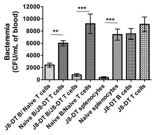 Figure 2. Adoptive transfer and assessment of protective efficacy of J8-DT memory and naïve B and/or T cells: To investigate synergistic effect of memory and naïve B and T cells in protection against GAS, SCID mice (n = 5 per group) were transfused with combinations of B and T cells from J8-DT-immunized or naïve BALB/c mice. Cohorts of mice were transfused with J8-DT B cells/naive T cells, naïve B/J8-DT T cells, J8-DT B and T cells or naive B and T cells, J8-DT or naïve splenocytes or J8-DT B/T cells. Immunized mice received the vaccine 14–16 weeks before their cells were transferred. Twenty-four h post-adoptive transfer, the mice received an IV infection with 50 000 CFU of GAS M1 strain. The bacterial bio-burden in the blood was monitored and bacteremia on day 12 post-infection is shown. Results are shown as means ± standard errors of the means for at least 5 mice in each group. Significance determined by two-way analysis of variance (ANOVA) where **p < 0.01, ***p < 0.001. (Fig. adapted with permission from Pandey et al.; 2013Citation50)