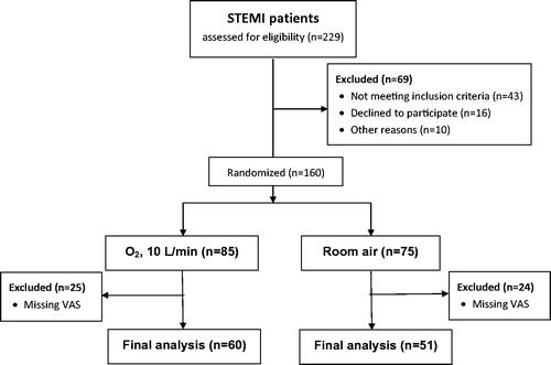 Figure 1. Patient flow diagram. A total of 111 patients were included in the final analyses.