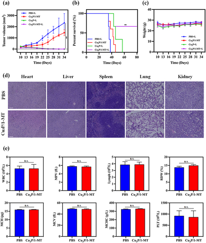 Figure 6 Antitumor effect and side effects. (a) Tumor growth curves of the primary tumor from treated mice (n = 5, **P < 0.01). (b) Survival percentage of mice after modeling (n=5, **P < 0.01). (c) Body weight changes of mice under treatment (n = 5). (d) Histopathological of main organs and (e) Hematological analysis evaluated of systemic toxicity. Scale bar = 200 μm.