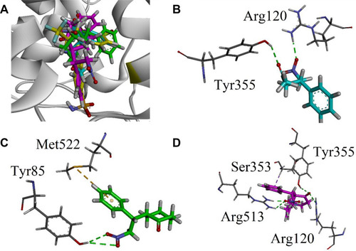 Figure 5 (A) Superposed binding orientation of compounds 9–11 on native SC-558 (yellow) into the binding site of COX 2. (B–D) Three-dimensional interaction plot of compounds 9–11, respectively, into the binding site of COX-2.