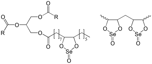 Figure 1. A putative structure of Selol (Suchocki et al. Citation2003). The selenitetriglycerides containing 2% of Se (Selol 2%) have a structure with mostly single dioxaselenolane rings (left); the selenitetriglycerides containing 5% and more of Se (Selol 5%) have also double dioxaselenolane rings (right). R, polyunsaturated fatty acid moiety.