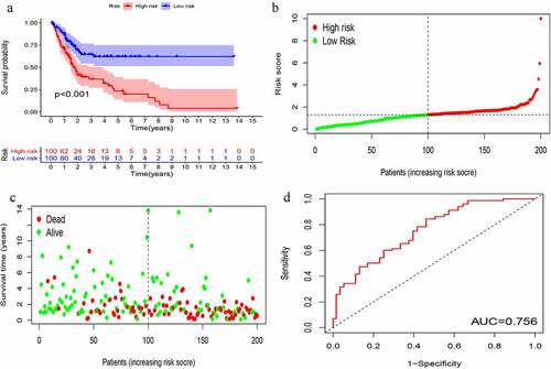 Figure 4. Evaluation of instability-related lncRNA genomic signature (GIlncSig) in the training group. (a) Kaplan – Meier Survival Trial of GIlncSig for High and Low Risk Groups. (b) Risk score for each tumor sample. (c) Survival outcome for each tumor sample. (d) Time-dependent ROC curve at 5 years