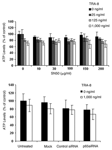 Figure 8 Inhibition of NFκB did not enhance cytotoxicity of TRA-8 against BT-474 breast cancer cells. Cells were pretreated with the NFκB translocation inhibitor SN50 or p65 specific siRNA for 24 h prior to the addition of TRA-8. Cell viability was determined via ATPLite assay after 24 h of TRA-8 treatment.