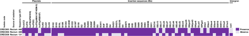 Figure 2 Distribution of mobile genetic elements (MGEs) in blaNDM-1-harboring CREC isolates.