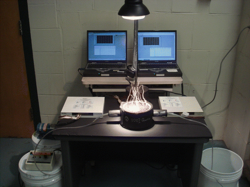 Figure 6 Test set-up (note: thermocouples from Cole-Parmer, Type K (chromel–alumel) thermocouple, − 250 to +482°C temperature range. Response time is 15 s and sensitivity is approximately 41 μV/°C. Data acquisition system: National Instruments SC-2345 Series. Software: LabView 8.1.)
