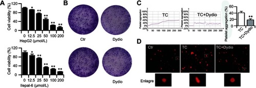 Figure 2 Effect of dydio on HCC viability and TCIPA. (A) Effect of increasing concentration of dydio on HepG2 or Hepal-6 cell viability. (B) 35 μmol/L dydio on HepG2 or Hepal-6 cell colony formation. (C) Effect of dydio on platelet aggregation induced by Hepal-6 tumor cells. (D) Effect of dydio on morphology change of platelet induced by Hepal-6 tumor cells (magnification ×100).*p<0.05, **p<0.01 vs 0 μmol/L or TC group.Abbreviations: Ctr, control; dydio, dihydrodiosgenin; TC, tumor cells; HCC, hepatocellular carcinoma; TCIPA, tumor cell-induced platelet activation.