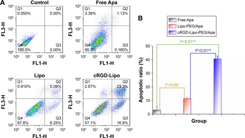 Figure 8 (A) The apoptosis assay in HCT116 cells after treatment with apatinib-loaded liposomes and free apatinib for 24 h at a concentration of 2 µM; (B) the apoptotic ratio in the three groups.Abbreviations: Apa, apatinib; cRGD, cyclic arginylglycylaspartic acid; PEG, polyethylene glycol; Lipo, liposomes.