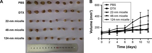 Figure 4 The in vivo ATE and the variations in the body weights after treated three times (every other day) by intravenous injection of PBS, DTX (5 mg/mL), 22-nm micelle (5 mg/mL), 48-nm micelle (5 mg/mL), and 124-nm micelle (5 mg/mL) on days 0, 2, and 4. (A) Pictures of solid tumors recovered after anatomy, (B) tumor volume as a function of time, (C) relative body weights as a function of time; (A–C) data represent mean ± SD (n=8) from one of three experiments; (D) the mean ATE as determined by the tumor weight of three experiments (n=24). **P<0.01, compared with the DTX group; #P<0.05 compared with the 22-nm micelle.Abbreviations: ATE, antitumor efficacy; DTX, docetaxel.