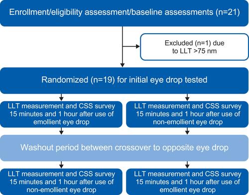 Figure 1 Study design.Abbreviations: LLT, lipid layer thickness; CSS, Current Symptoms Survey (a visual analog scale of eye dryness symptoms).
