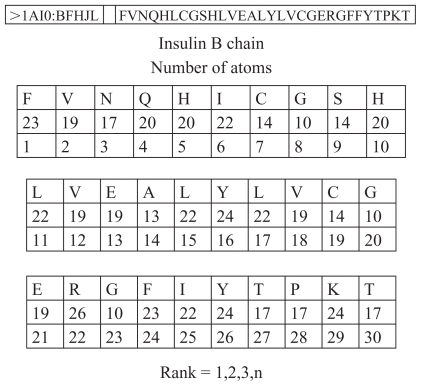 Figure 1 Number of atoms in insulin B chain.