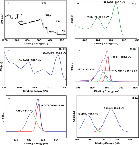 Figure 4. XPS spectra of AmCot-CuO+TiO2, survey (a), Ti 2p (b), Cu 2p (c), C 1s (d), O 1s (e) and S 2P (f).