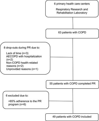 Figure 1 Flow diagram of participants with chronic obstructive pulmonary disease included in the study.