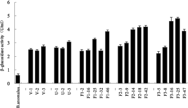 Figure 3. β-glucosidase activity of B. anomalus strains.