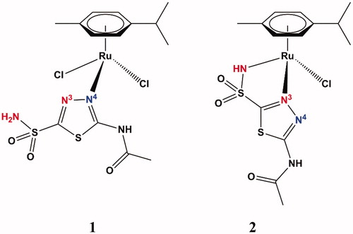 Figure 2. Structure of acetazolamide organoruthenium complexes 1 (left) and 2 (right). The X-ray crystallography for these compounds was reported in Biancalana et al.Citation18