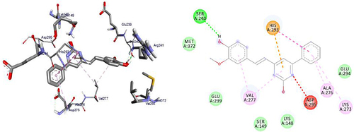 Figure 9 3D (right) and 2D (left) representations of the binding interactions of 11 against Penicillin binding proteins (PBPs) (PDB ID: 1VQQ).