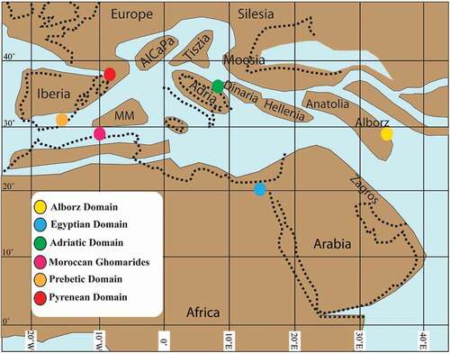 Figure 2. Simplified palaeogeographic reconstruction of the Mediterranean realm near the Cretaceous/Cenozoic boundary (about 70 Ma) (modified after Martín-Martín et al., Citation2020a, b, c, Citation2021)