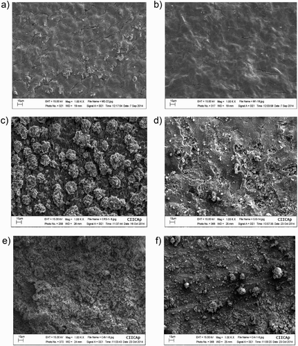 Figure 15. SEM micrographs of corroded 1018 steel specimens in uninhibited 0.5 M H2SO4 (a, c, e); and with addition of 500 ppm of M. sativa extract (b, d, f) at 25°C (a, b), 40°C (c, d) and 60°C (e, f).