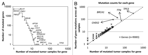 Figure 1. Statistical characteristics of gene mutations in HG-SOC. (A) Frequency distribution of mutations in susceptible driving genes. (B) Number of distinct mutations against number of mutated samples. Scatter plot of genes, where the vertical axis corresponds to the number of mutations across all samples and the horizontal axis corresponds to the number of samples with at least one mutation for a given gene. The diagonal represents the hypothetical scenario where number of mutations per sample for each gene is 1. Both axes are log10-transformed.