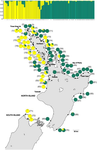 Figure 3. A, Structure plot of Entelea arborescens (whau) populations for K = 2 based on nine microsatellite markers. According to the ΔK, K = 2 represents the optimal structure partition in our dataset. The numbers are the sites’ identifying numbers. B, Pie charts for each whau sample indicate the assignment (Q-value) to each genetic cluster for K = 2. The numbers in brackets are the sites’ identifying numbers (see Table S1 for more details). Sites 1–61 are believed to be naturally occurring and sites 62–73 suggested to derive from translocations. Basemap supplied by Kahuroa.