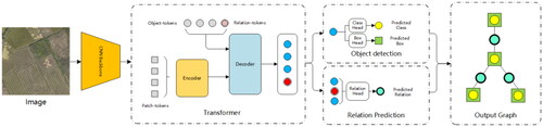 Figure 3. Overall architecture and details of Relationformer. Using pairs of N objects (obj-token) and an additional (N + 1) token as the interaction and query process of the relationship between objects. Relationship defined as rln-token, and objects, and relationships between objects are combined to form a shared object-relationship diagram.