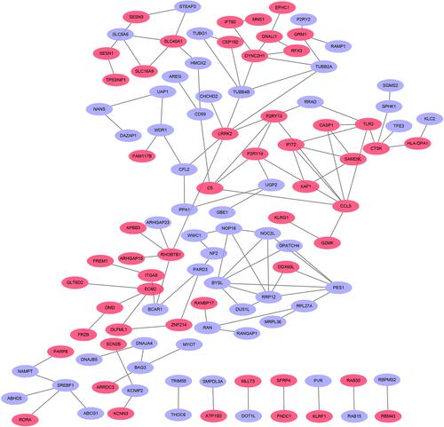 Figure 3 Based on database STRING and Cytoscape software, PPI networks of the DEGs were constructed. The pink point represents upregulated genes, and purple point represents downregulated genes.