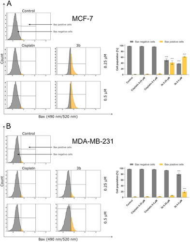 Figure 6. Anti-Bax antibody flow cytometric analysis of MCF-7 (A) and MDA-MB-231 (B) breast cancer cells compared to a negative control cell after 24 h of incubation with 3b and cisplatin (0.25 μM and 0.5 μM). Mean percentage values from three independent experiments done in duplicate are presented. ***p < 0.001 vs. control group.