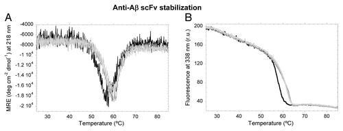 Figure 6. Thermal denaturation of scFV-3D6h WT and its variants. (A) Ellipticity at 218 nm. (B) Trp-Fluorescence emission at 338 nm. WT, black; C1, dark gray; C2, mild gray; C3, light gray.