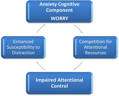 Figure 2. In anxious individuals worry competes for cognitive resources. This impairs attentional control and in turn increases distractibility and maintains worry i.e. a bi-directional influence of worry on attentional control and of attentional control on worry.