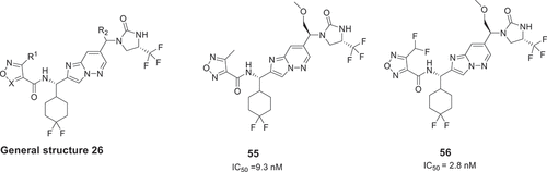 Figure 10. The general structure and examples of patented by Eli Lilly And Company.