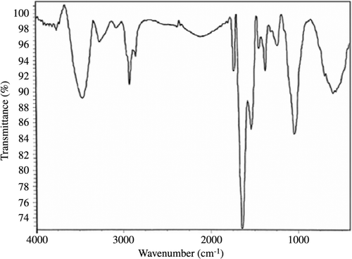 Figure 3. Fourier transform infrared (FTIR) spectrum of Se NPs.