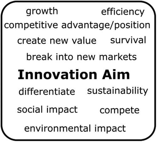 Figure 15: Innovation aim excerpt from conceptual framework.