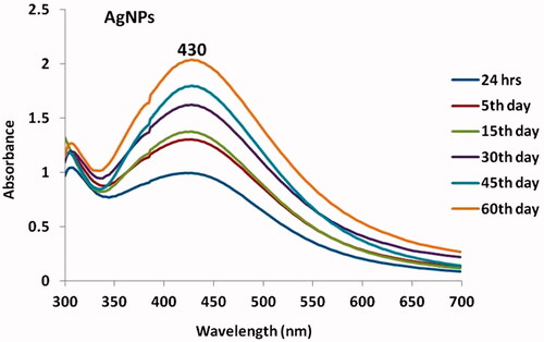 Figure 1. UV visible spectrum of synthesized AgNPs.