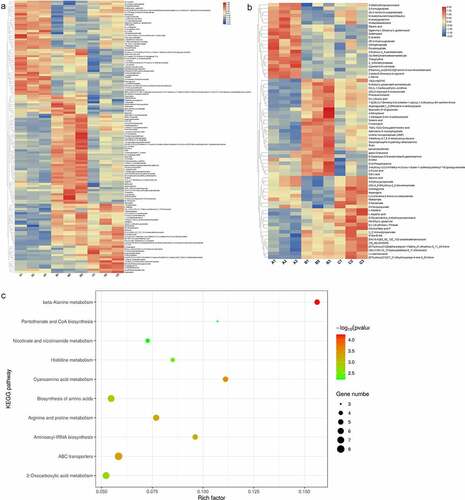 Figure 5. Results of identified different metabolites.