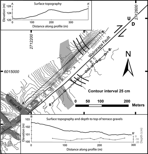 Figure 8  Detailed site investigation to search for evidence of palaeochannels on the Waiohine surface described by Grapes & Wellman (Citation1988). Central part of the figure shows topographic contours derived from a GPS survey of terrace A (Waiohine surface). Light grey polygons and solid black lines indicate location of palaeochannels according to Grapes & Wellman (Citation1988). Fine grey toothed line shows edge of terrace on upthrown side of Wairarapa Fault. Black toothed lines show terrace risers. Inserts show topographic profiles across the Terrace A surface on upthrown (A–A’) and downthrown (B–B’) sides of the fault. Black circles are locations of auger holes in a targeted auger survey on the downthrown side of the fault to determine the depth to the top of the Terrace A gravels (B–B’ insert in grey).