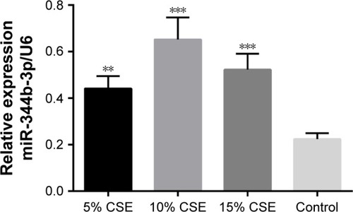 Figure 5 Effect of CSE on miR-344b-1-3p expression as detected by real-time PCR.