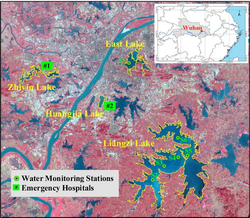 Figure 1. Location of Wuhan city and the study area. The green dots represent the fixed water quality monitoring stations and the green squares represent emergency hospitals (HH and LH). Several major lakes in this study are marked by yellow lines. The map is made by Landsat 8/OLI image, with RGB of band5, band4, and band3. (Colour online)