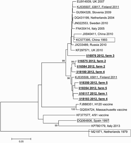 Figure 2. Phylogenetic analysis of Finnish backyard poultry coronavirus strains based on 436 nucleotides of the spike gene. Only bootstrap values higher than 85% are shown. The Finnish 2012 backyard poultry virus strains are in bold and underlined and the Finnish 2011 strains are underlined. The prototype strains of lineages GI-19, GI-21 and GII-1 according to Valastro et al. (Citation2016) are boxed. The GenBank accession numbers for Finnish backyard poultry coronavirus 2012 strains are KX398036 – KX398043.